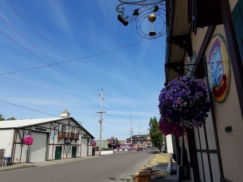 The Charming Downtown and Main Street