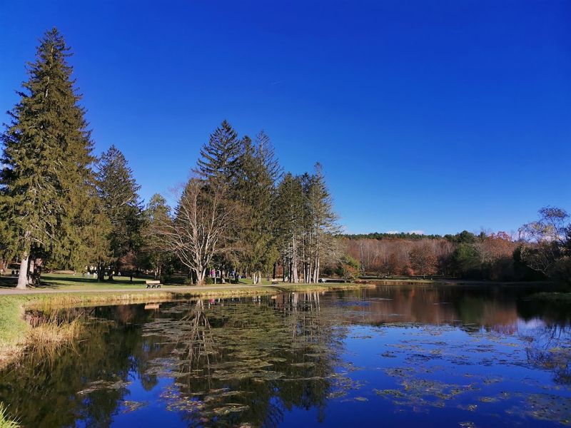 The Comeback: How Benson Park Was Born