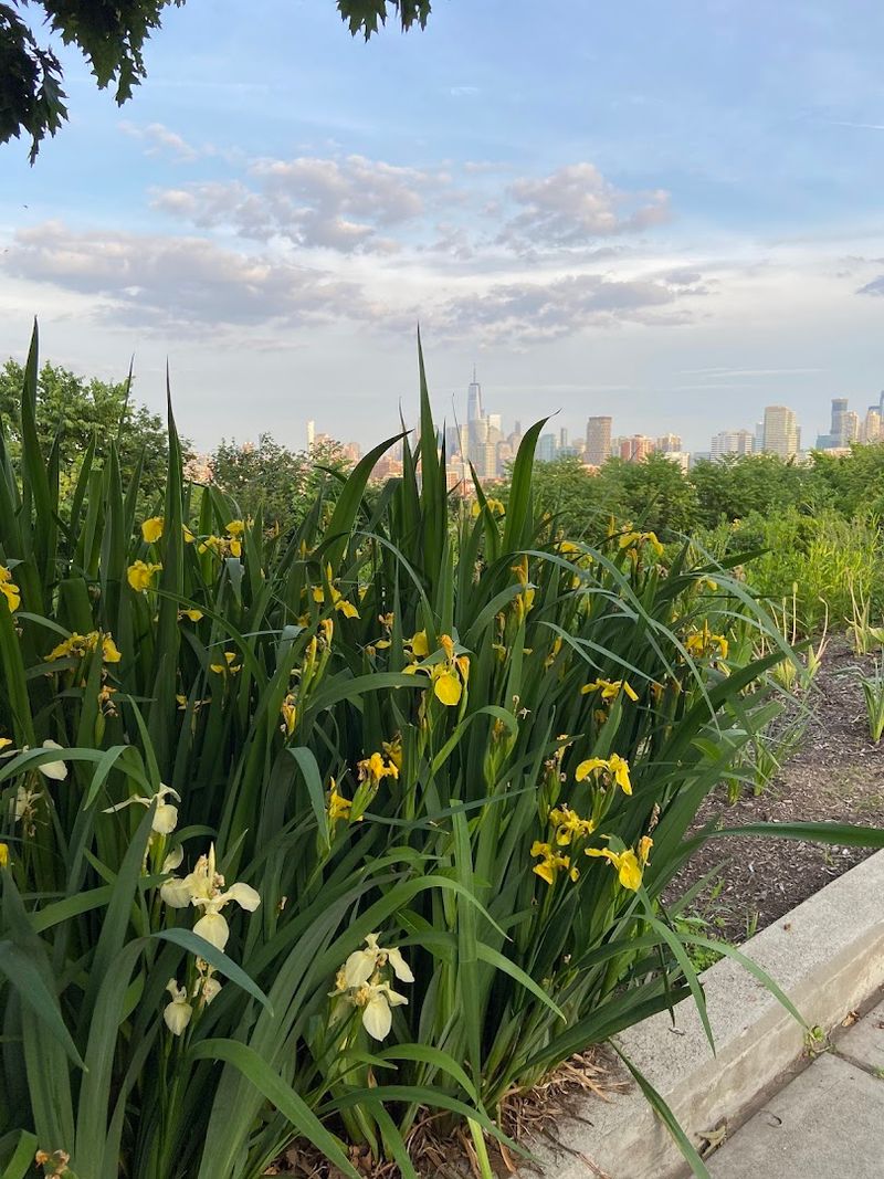 The Community Garden That Grows Together