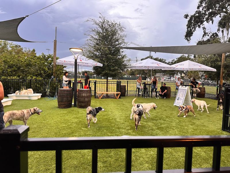 The Concept That Makes BarkHaven Truly One of a Kind
