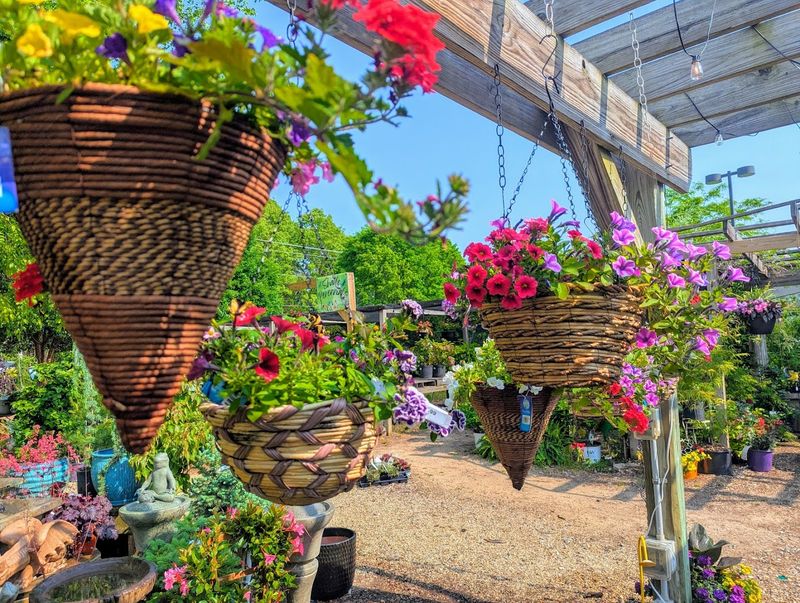 The Connection to Dragonfly Gardens Next Door