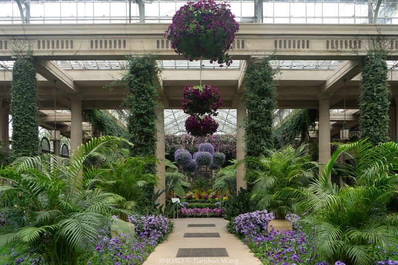 The Conservatory That Feels Like Another World