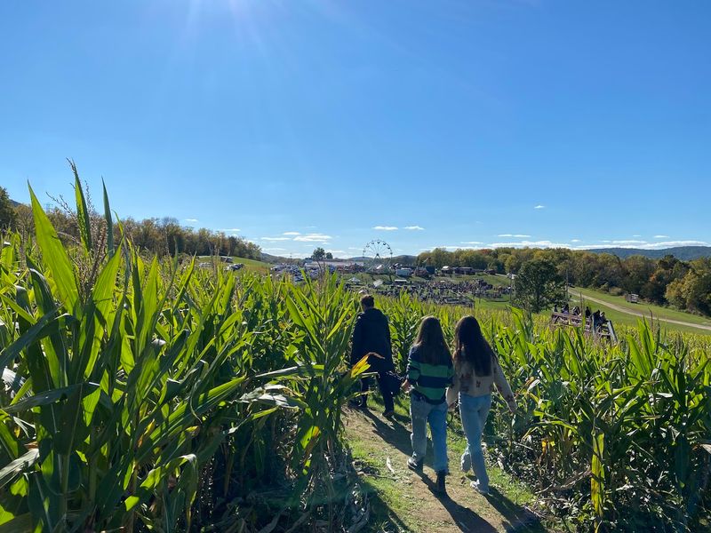 The Corn Maze: Easy to Enter, Fun to Navigate