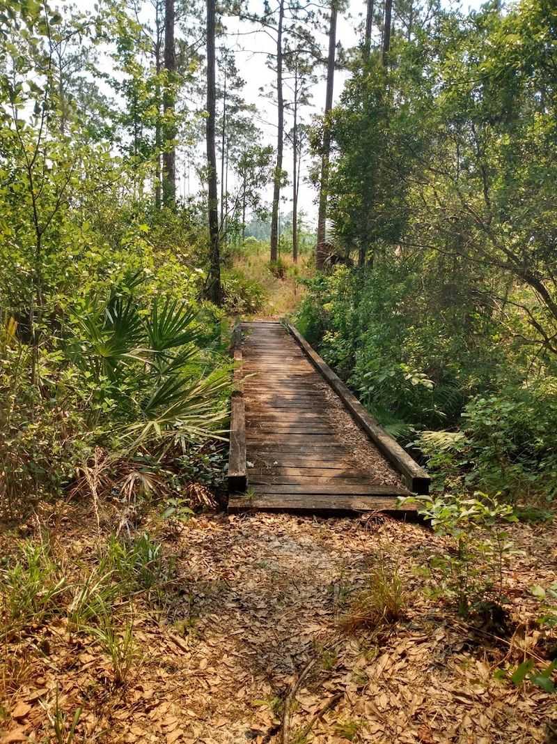 The Crabgrass Creek Bridges