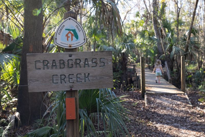 The Crabgrass Creek Cemetery