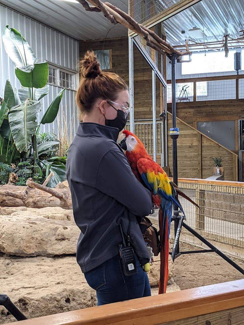 The Craft Barn and Activities Designed for Younger Visitors