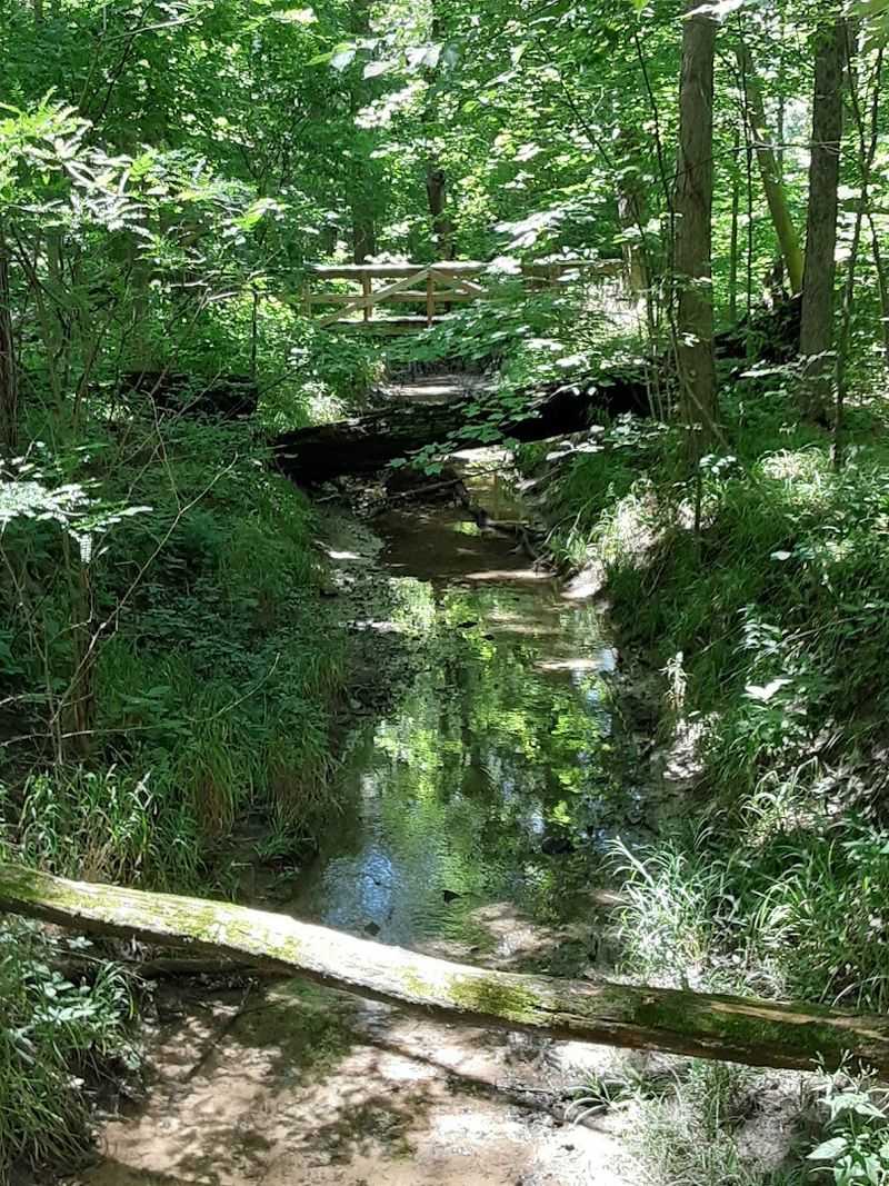 The Creek That Runs Through the Heart of the Forest The Creek That Runs Through the Heart of the Forest