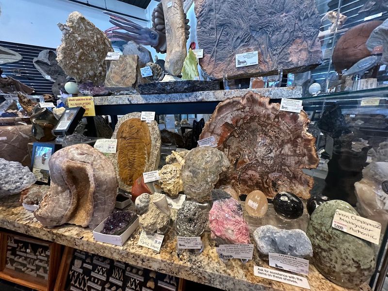 The Crystal and Mineral Section Is a Highlight on Its Own The Crystal and Mineral Section Is a Highlight on Its Own