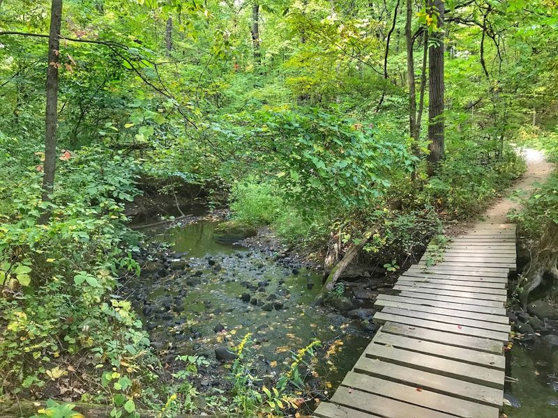 The Difficulty Rating and Who This Trail Is Really Built For