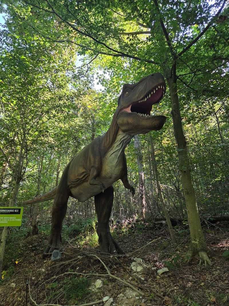 The Dinosaur Safari and Seasonal Events