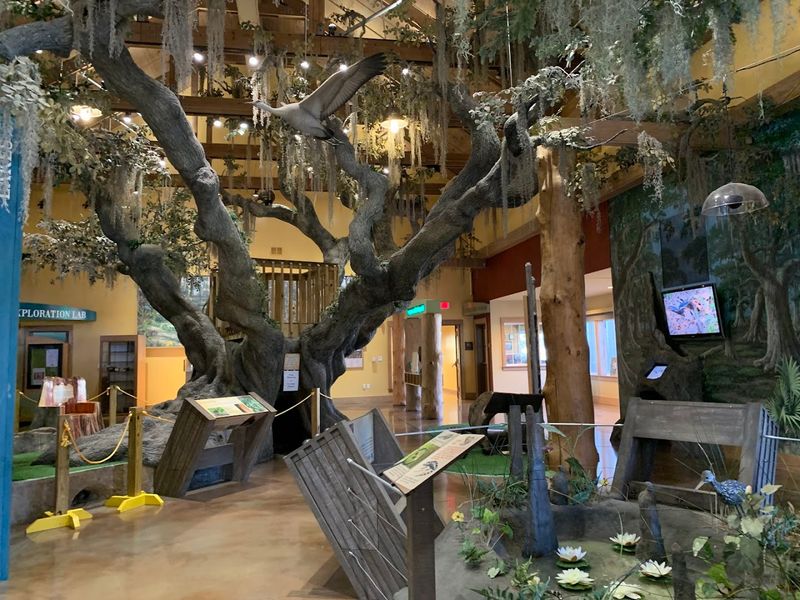 The Discovery Center: Your Starting Point for a Smarter Visit