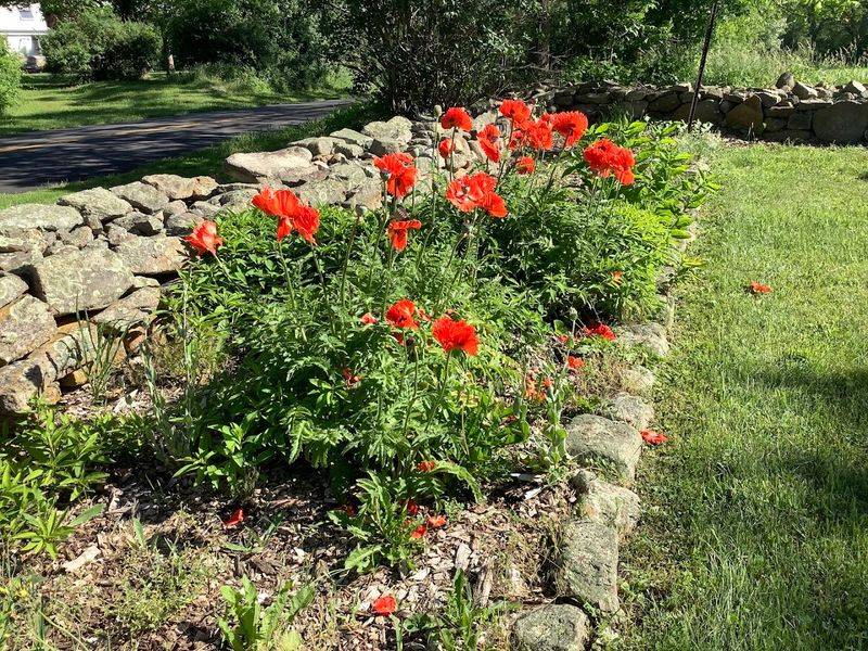 The Display Gardens That Teach Without a Textbook The Display Gardens That Teach Without a Textbook