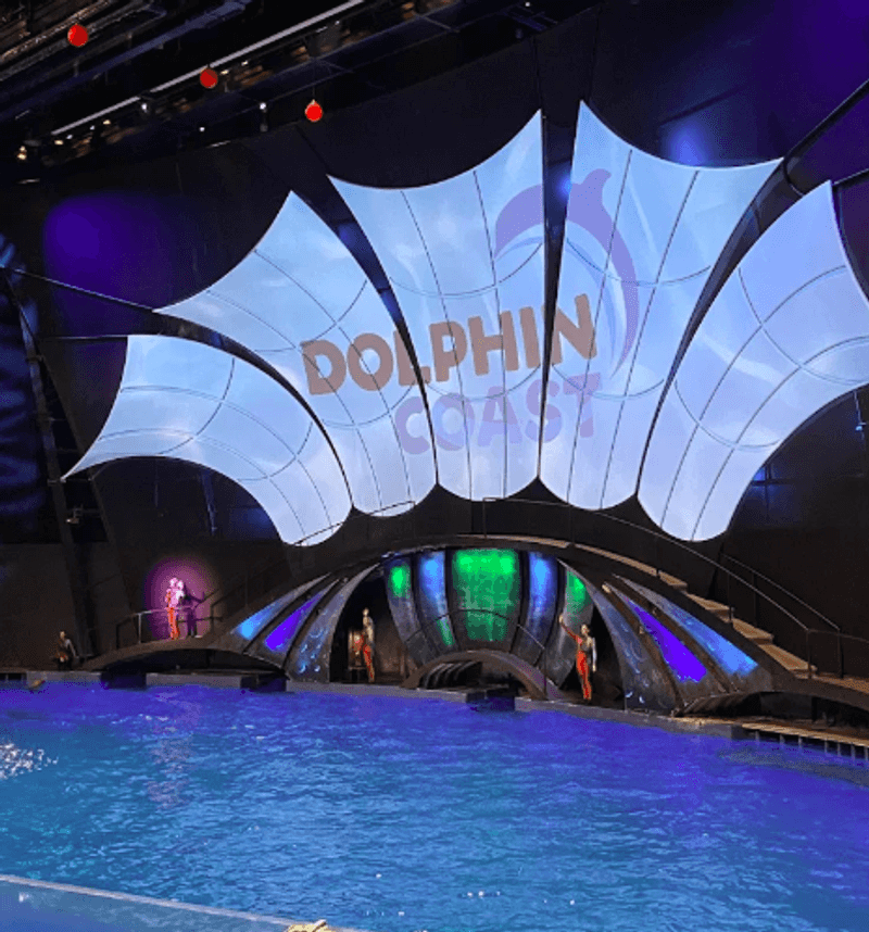 The Dolphin Show You Need to Book Before You Arrive The Dolphin Show You Need to Book Before You Arrive