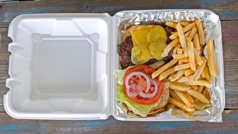 The Double Cheeseburger Surprise The Double Cheeseburger Surprise