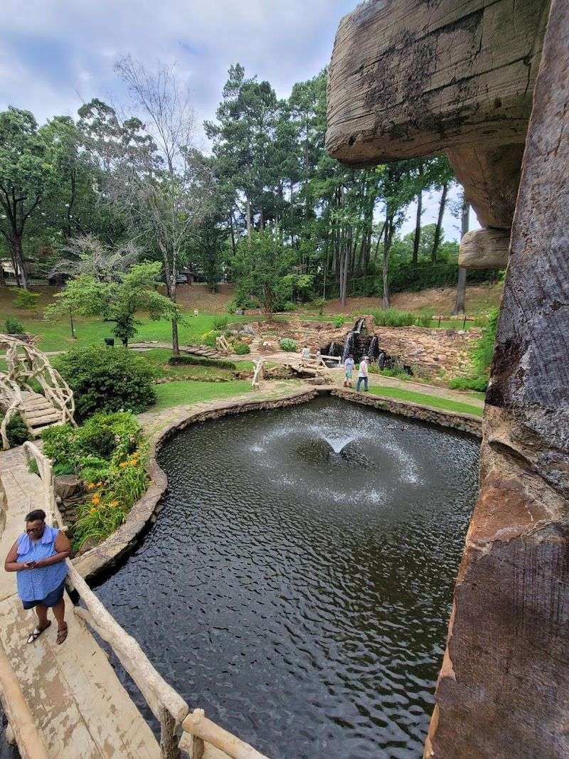 The Ducks, Wildlife, and Surprising Park Rules The Ducks, Wildlife, and Surprising Park Rules