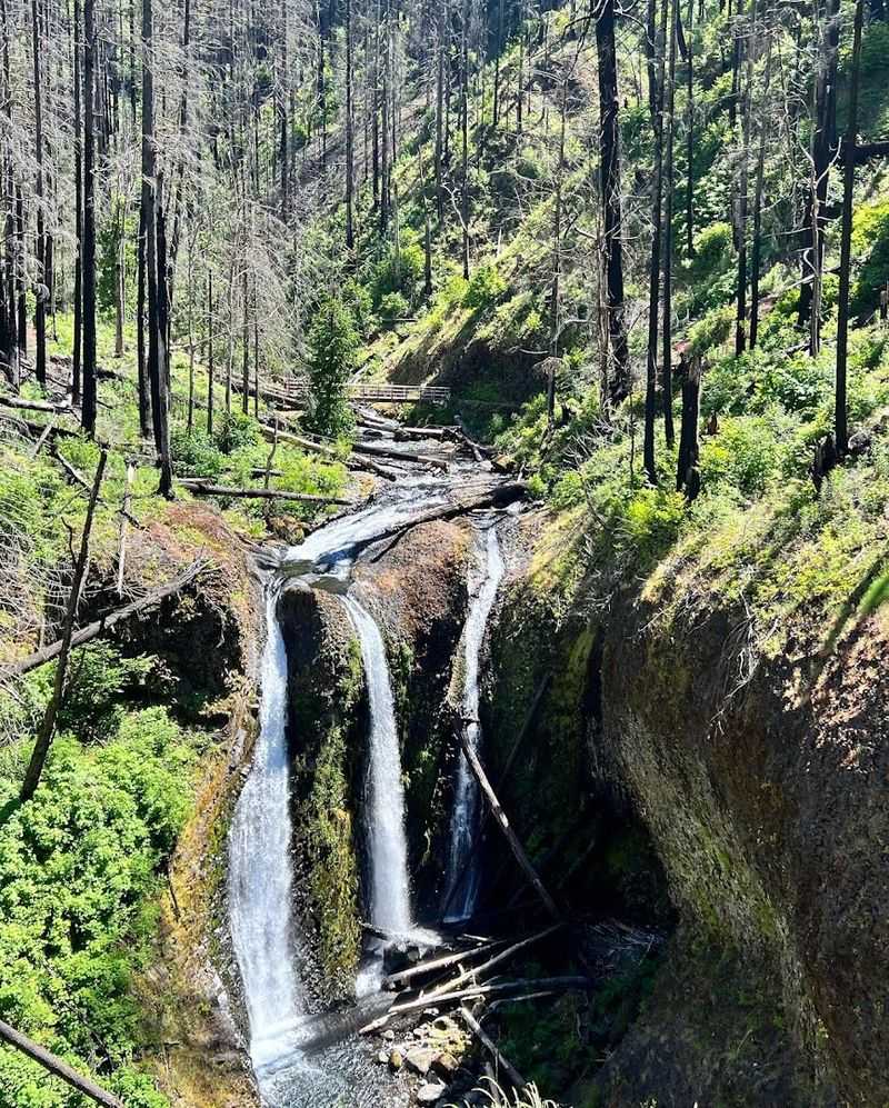 The Eagle Creek Fire and What Came After