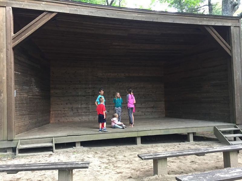 The Educational Programs That Surprise First-Time Visitors