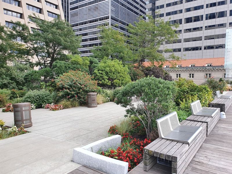 The Elevated Acre