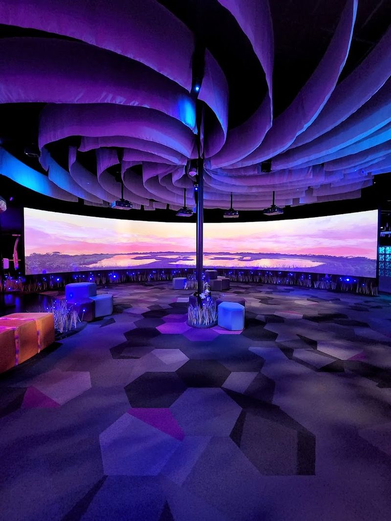 The Environmental and Emotional Art Installations