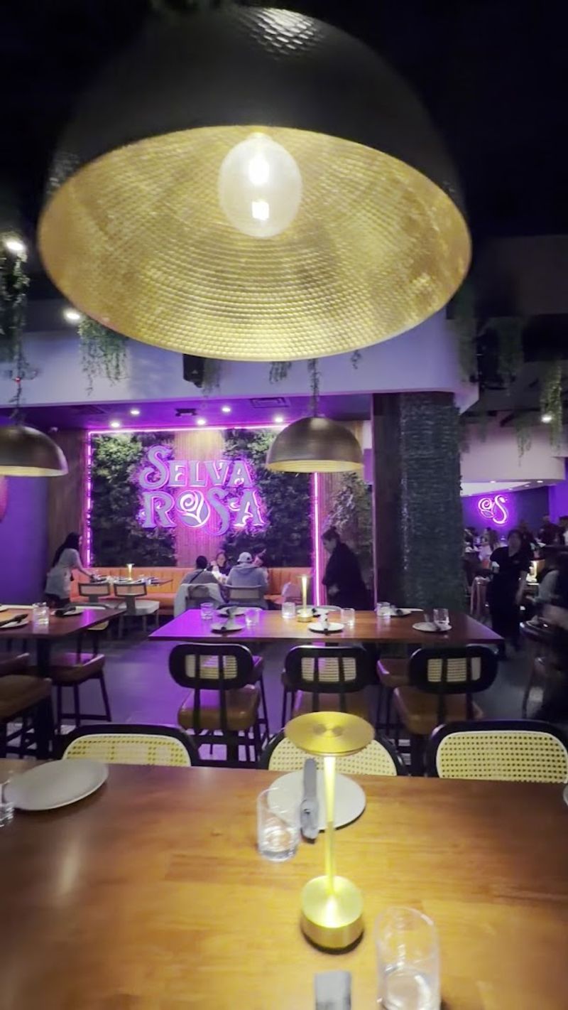 The Evening Energy and Live DJ Nights The Evening Energy and Live DJ Nights
