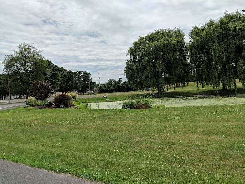 The Fairgrounds as a Year-Round Community Space