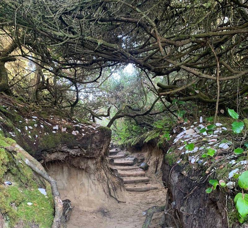 The Famous Hobbit Holes Along the Path