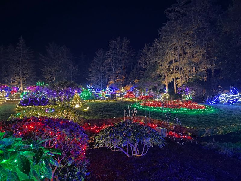 The Famous Holiday Light Display