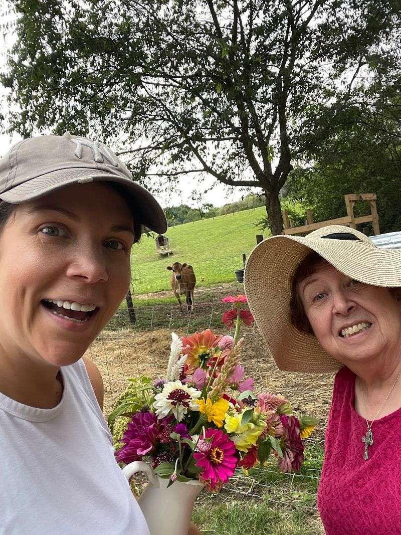 The Farm Animals Worth Meeting The Farm Animals Worth Meeting