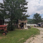 The Farm Attraction Everyone Describes as a Hidden Gem for Animal-Loving Kids
