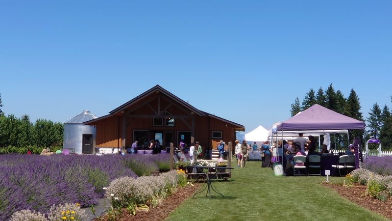 The Farm's Atmosphere and Who It Welcomes The Farm's Atmosphere and Who It Welcomes