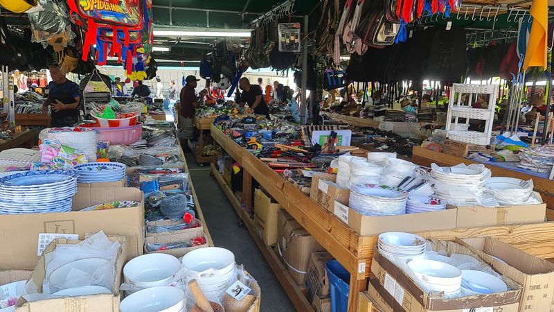 The Flea Market Side: Used Goods, Bargains, and Unexpected Finds The Flea Market Side: Used Goods, Bargains, and Unexpected Finds