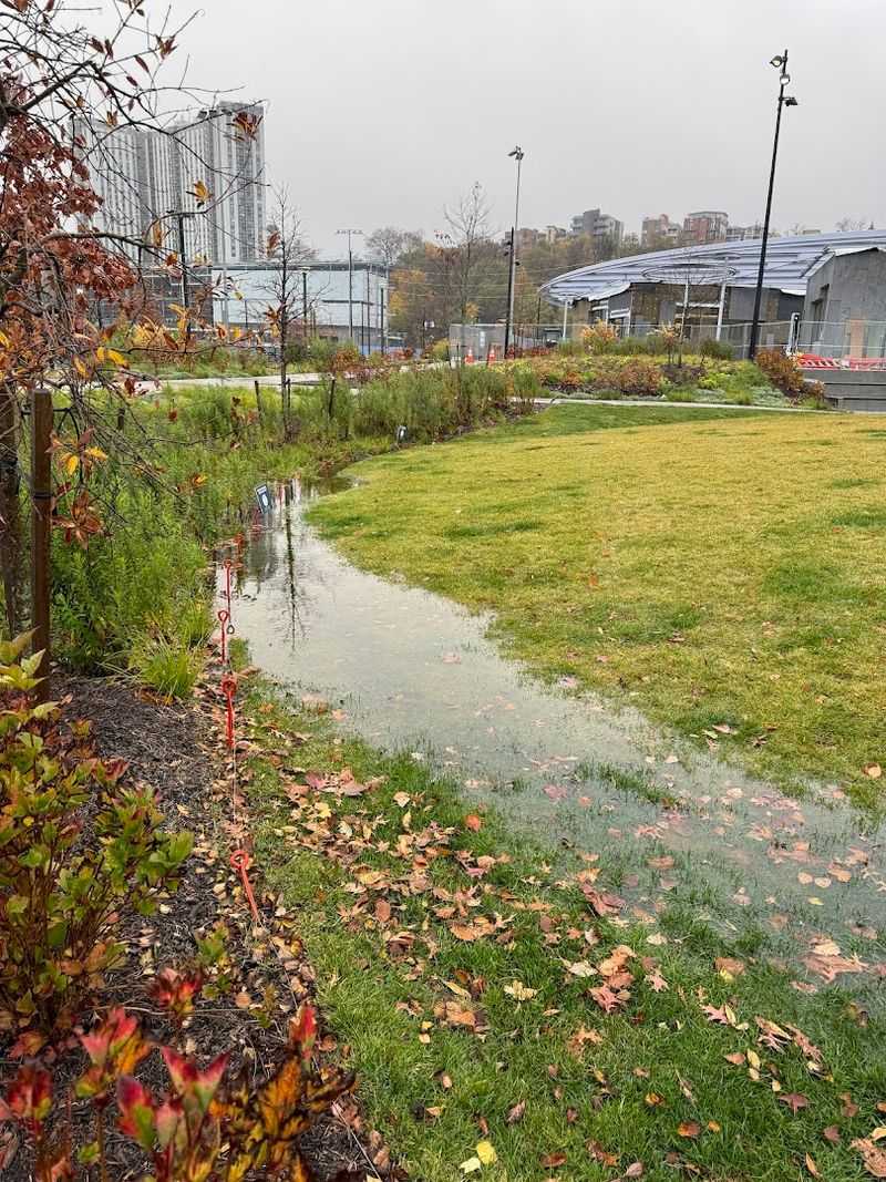 The Flooding Problem That Started It All