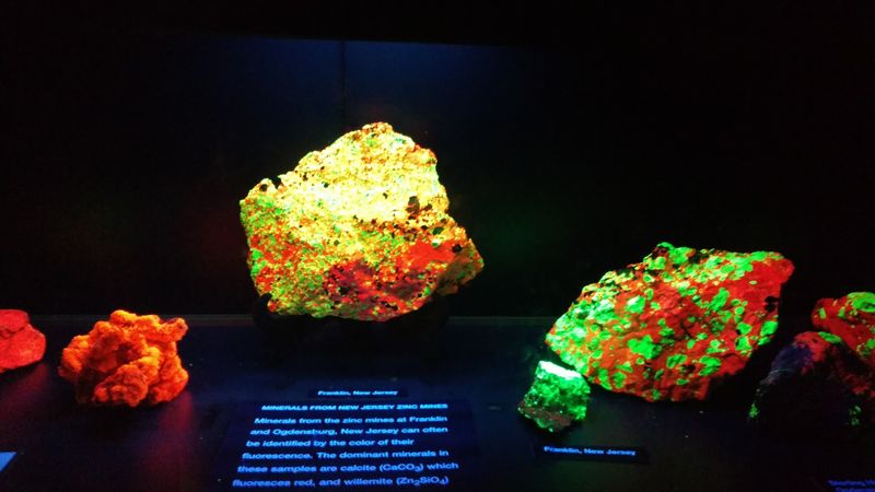 The Fluorescent Mineral Room That Surprises Everyone