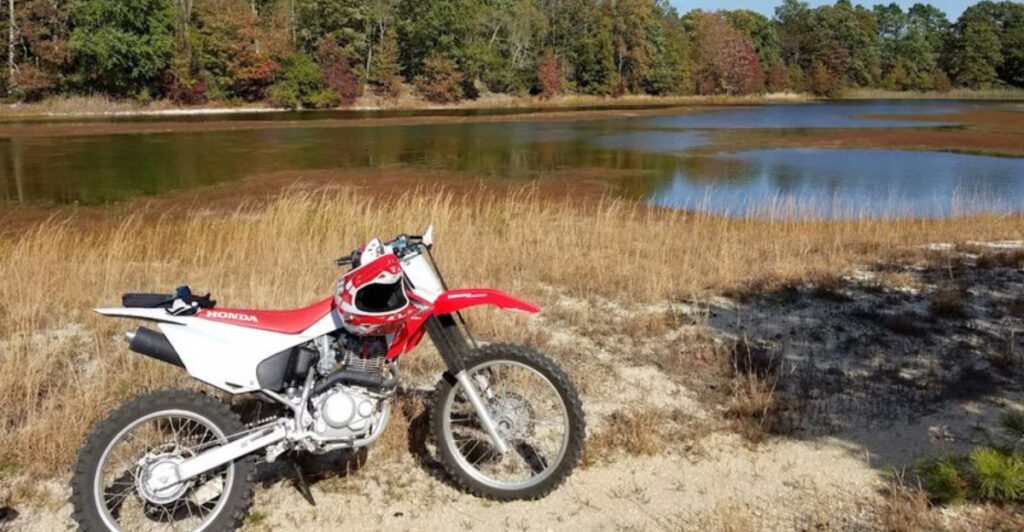 The Forgotten Wetland Walk That Might Be South Jersey’s Best Hidden Gem