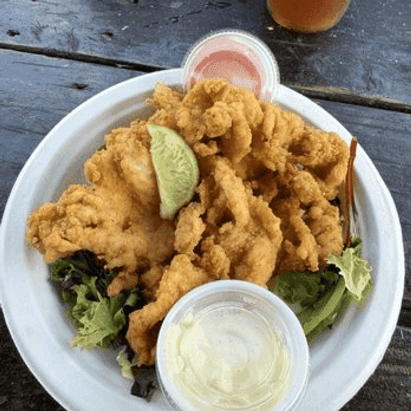 The Fried Conch Plate Experience The Fried Conch Plate Experience