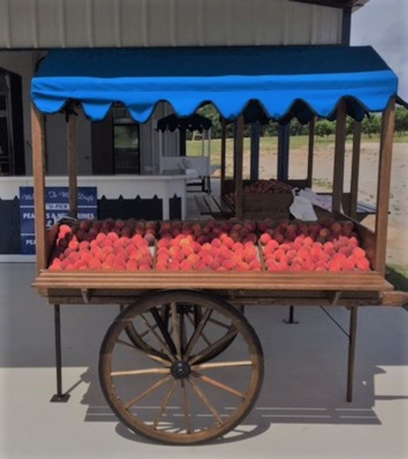The Fruit and Vegetable Stand The Fruit and Vegetable Stand