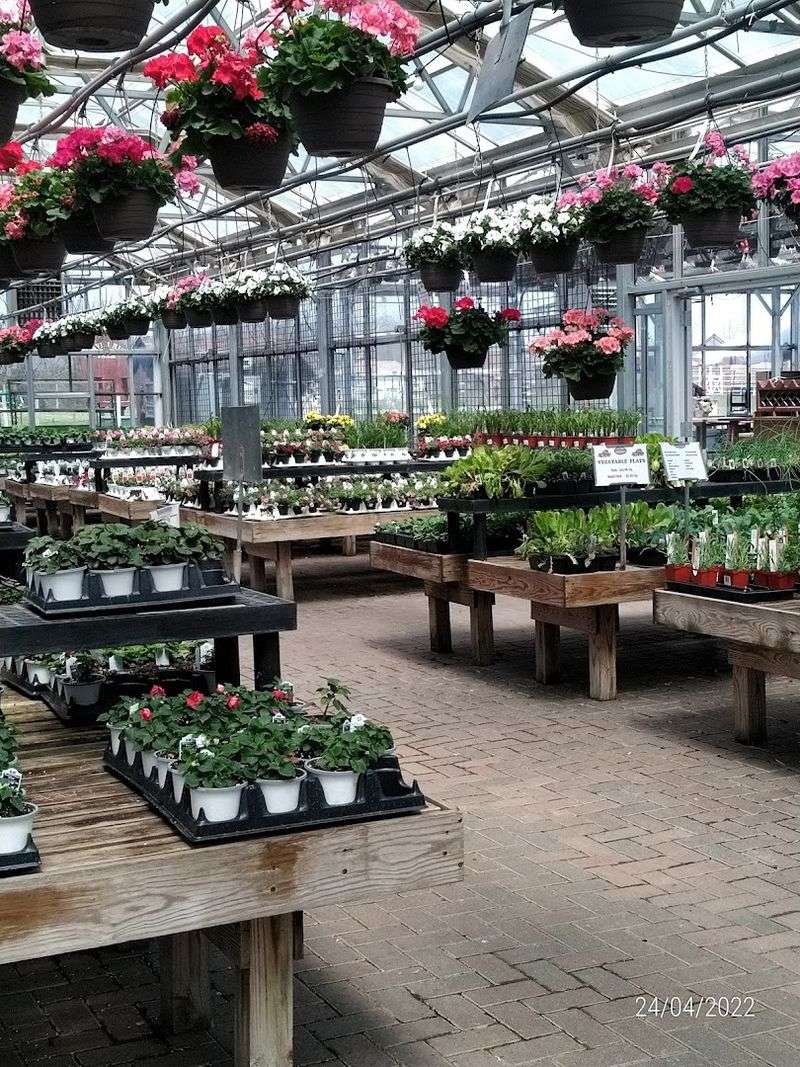 The Garden Center: A Serious Resource for Plant Lovers