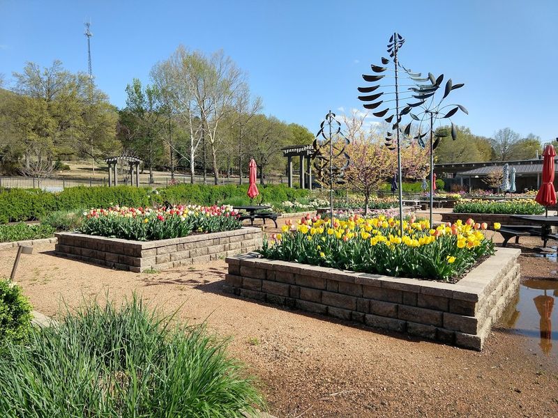 The Gardens Surrounding the Main Attraction