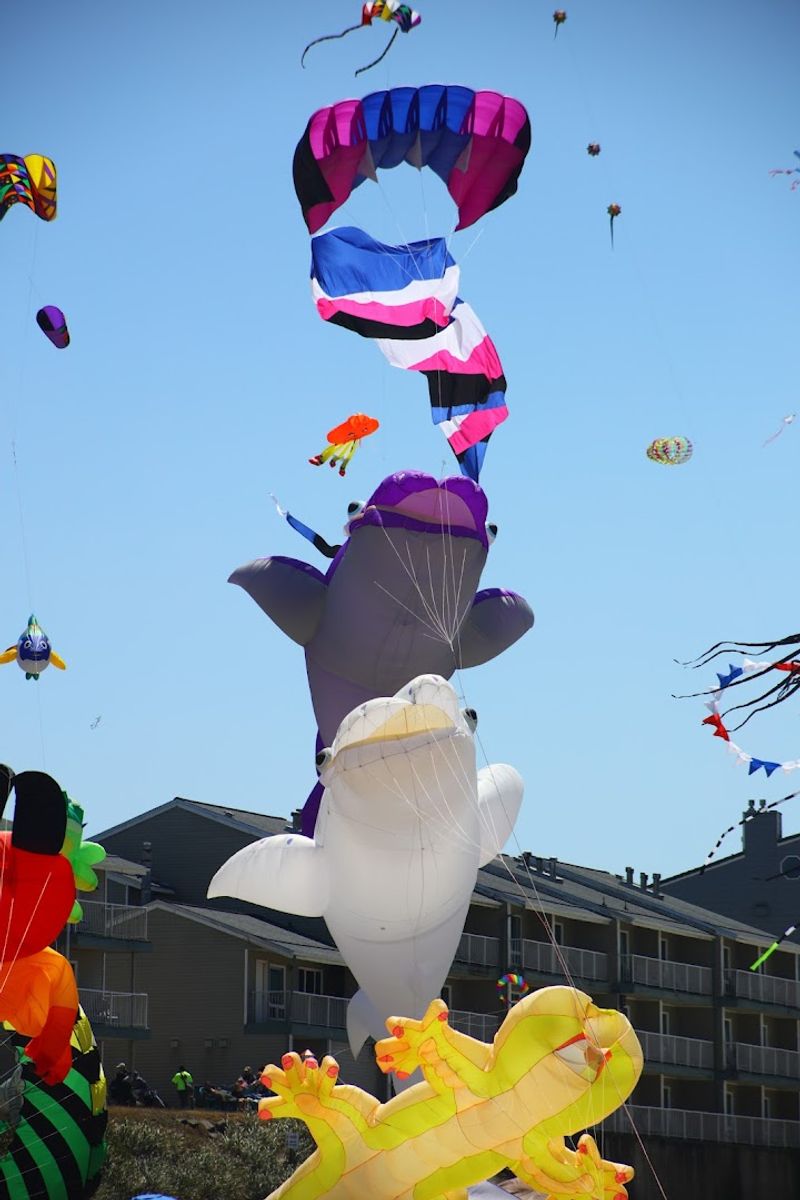 The Giant Kites That Steal Every Show