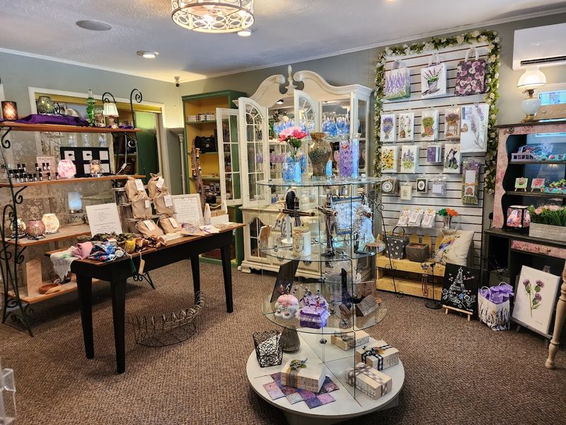 The Gift Shop: A Lavender Lover's Dream in a Small Space The Gift Shop: A Lavender Lover's Dream in a Small Space
