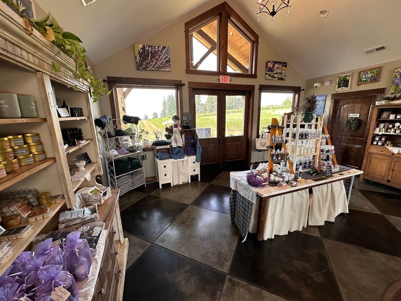 The Gift Shop and What Makes It Stand Out The Gift Shop and What Makes It Stand Out