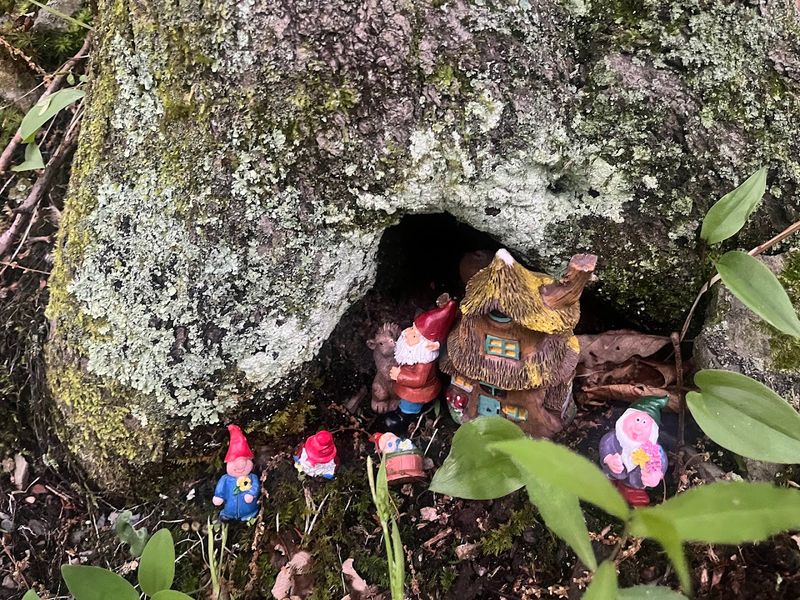 The Gnomes That Started It All