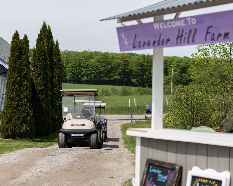 The Golf Cart Tour That Makes the Whole Farm Make Sense The Golf Cart Tour That Makes the Whole Farm Make Sense