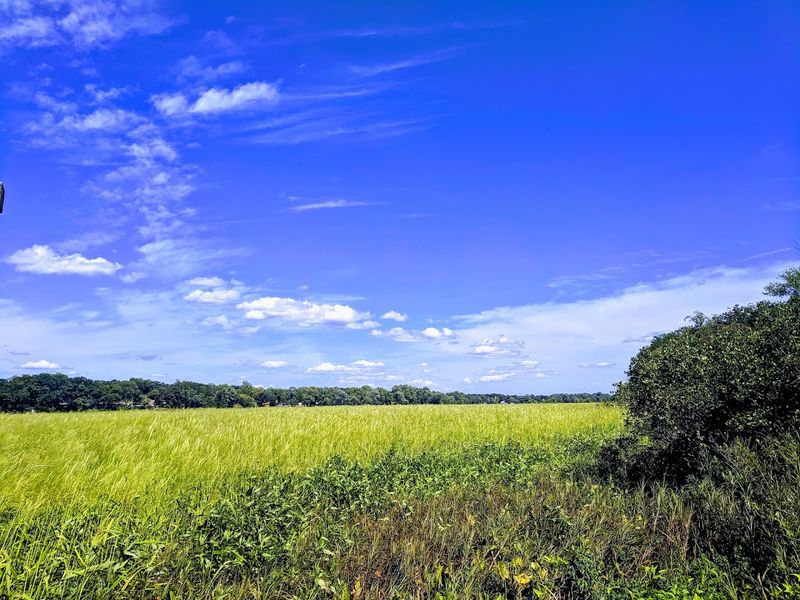 The Grassland Center That Changes Everything