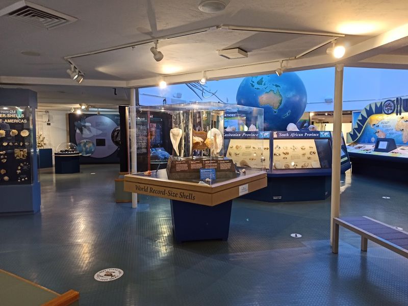 The Great Hall of Shells: A Room That Stops You Cold