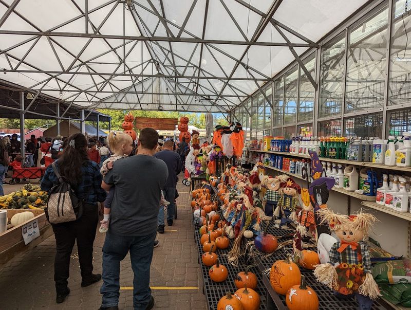 The Great Pumpkin Festival That Takes Over Fall