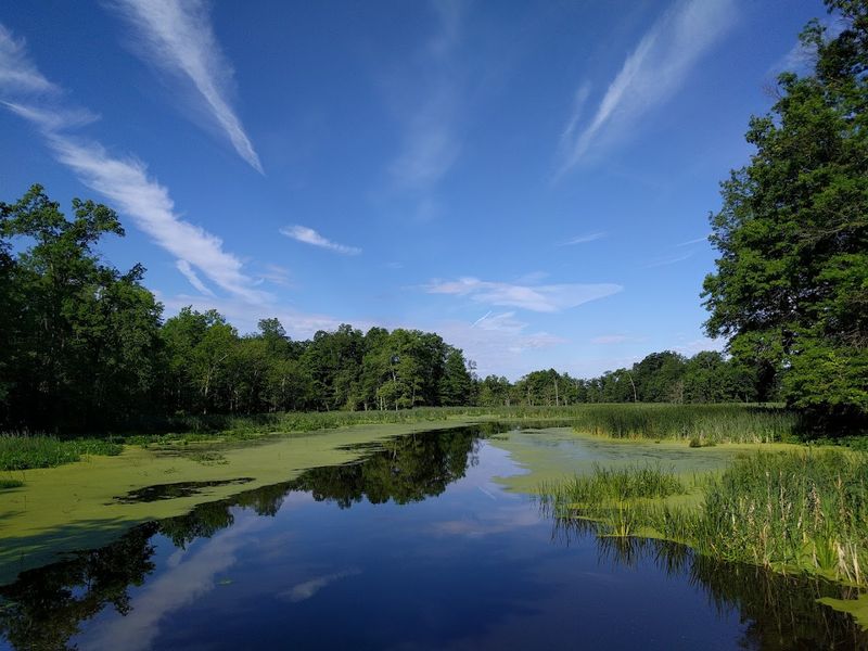The Great Swamp Connection That Makes This Place Unique The Great Swamp Connection That Makes This Place Unique