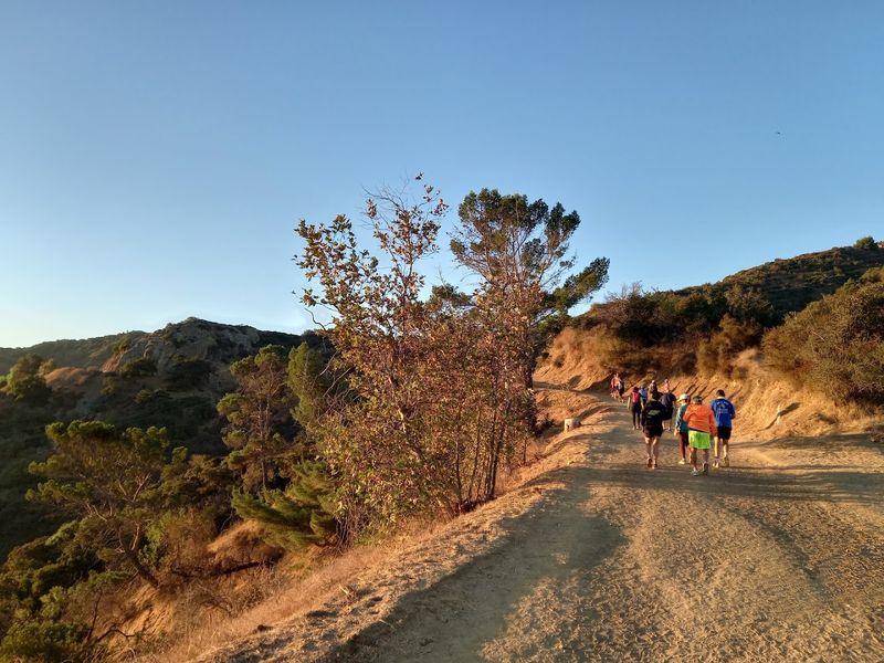 The Griffith Park Trails The Griffith Park Trails