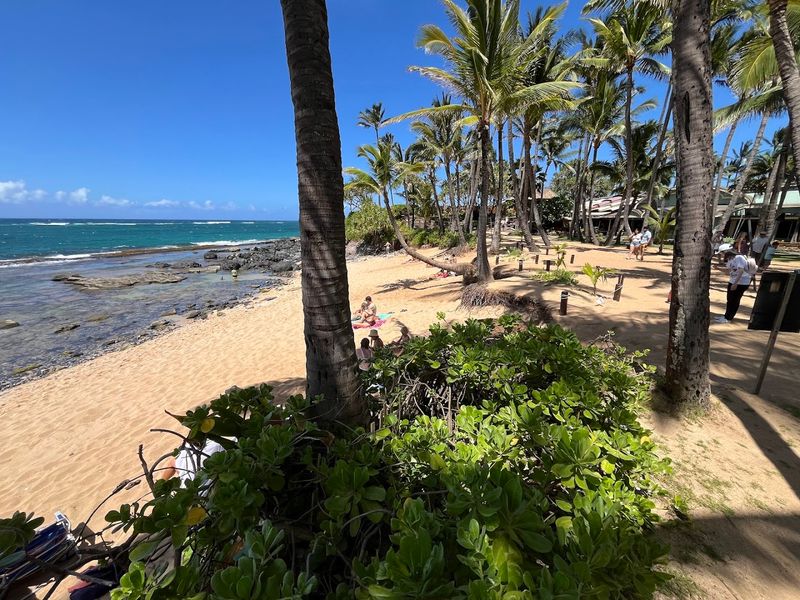 The Grounds, the Beach, and the Wildlife