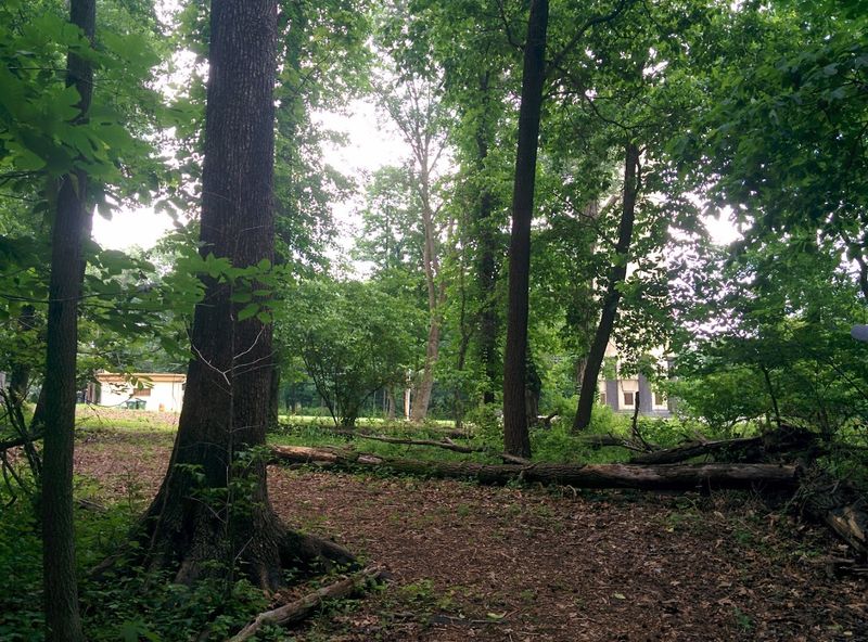 The Grounds, the Trail, and the Outdoor Experience